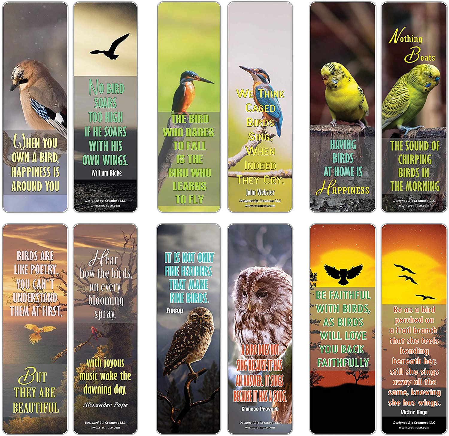 Creanoso Bird Quote Sayings Pet Bookmarks (60-Pack) ÃƒÂ¢Ã¢â€šÂ¬Ã¢â‚¬Å“ Six Assorted Quality Bookmarker Cards Bulk Set ÃƒÂ¢Ã¢â€šÂ¬Ã¢â‚¬Å“ Great Giveaways Collection ÃƒÂ¢Ã¢â€šÂ¬Ã¢â‚¬Å“ Premium Bulk Gift Set for Bird Owners ÃƒÂ¢Ã¢â€šÂ¬Ã¢â‚¬Å“ Book Clip ÃƒÂ¢Ã