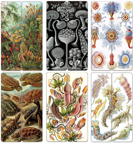 Creanoso Ernst Haeckel Bookmarks Series 2 (60-Pack) - Premium Quality Gift Ideas for Children, Teens, & Adults for All Occasions - Stocking Stuffers Party Favor & Giveaways