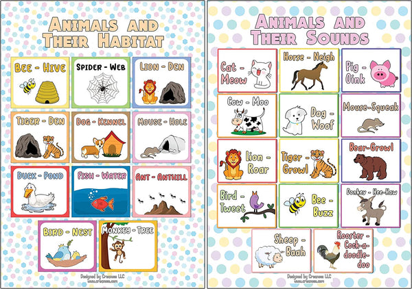 Creanoso Amusing Science Basics Educational Learning Posters (24-Pack) - Premium Quality Gift Ideas for Children, Teens, & Adults for All Occasions - Stocking Stuffers Party Favor & Giveaways