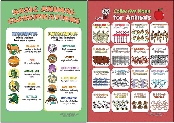 Creanoso Learning Posters - Animals (12-Pack) - Premium Buy Bulk Pack Quality Teaching Guide for Homeschool Nursery Kindergarten Classroom