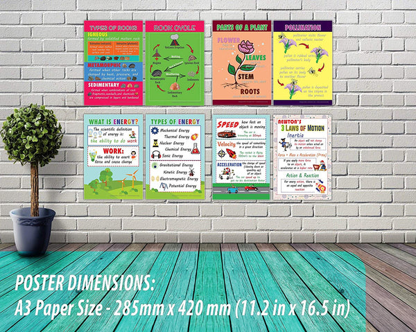 Intermediate Level Science Educational Learning Posters (24-Pack)