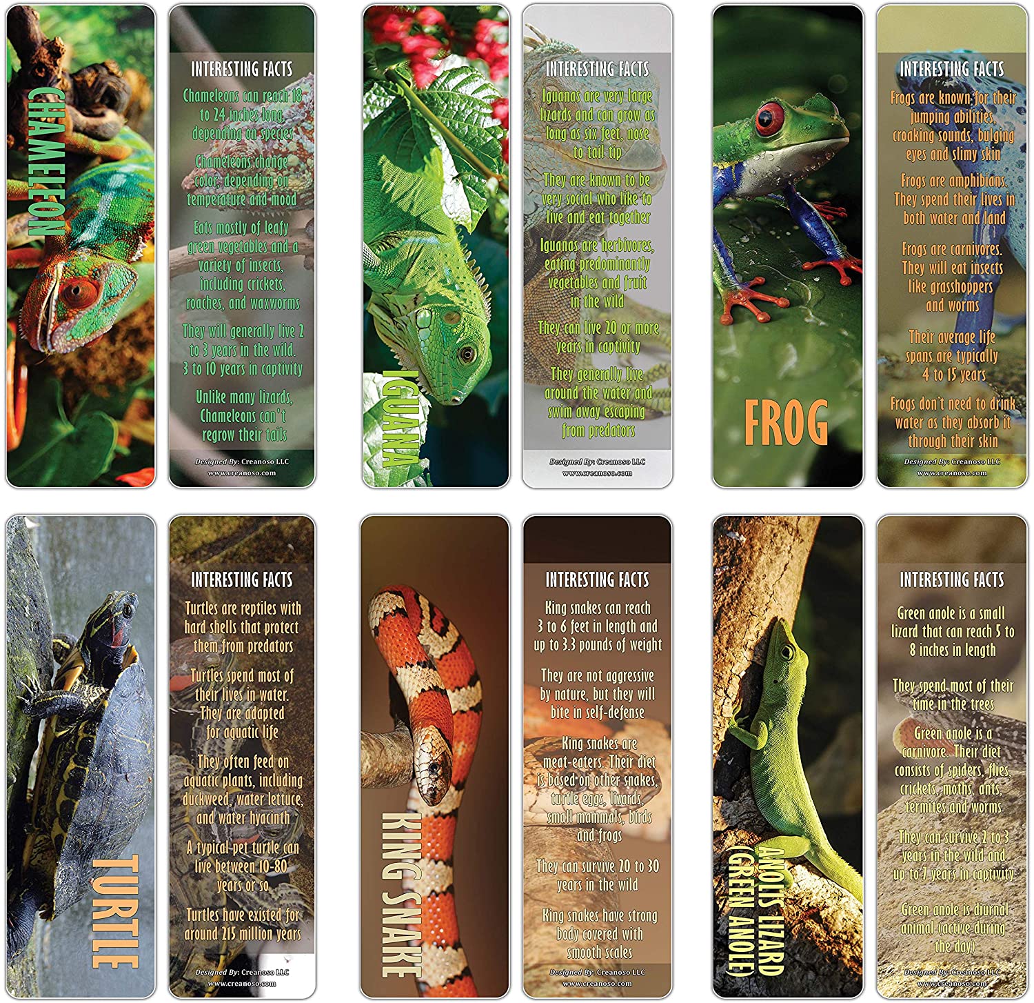 Creanoso Exotic Reptile Bookmarker Cards Bookworms (60-Pack) ÃƒÂ¢Ã¢â€šÂ¬Ã¢â‚¬Å“ Six Assorted Quality Bookmarker Cards Bulk Set ÃƒÂ¢Ã¢â€šÂ¬Ã¢â‚¬Å“ Premium Gift for Men & Women, Boys, Girls, Teens, Adults ÃƒÂ¢Ã¢â€šÂ¬Ã¢â‚¬Å“ Premium Gift Set