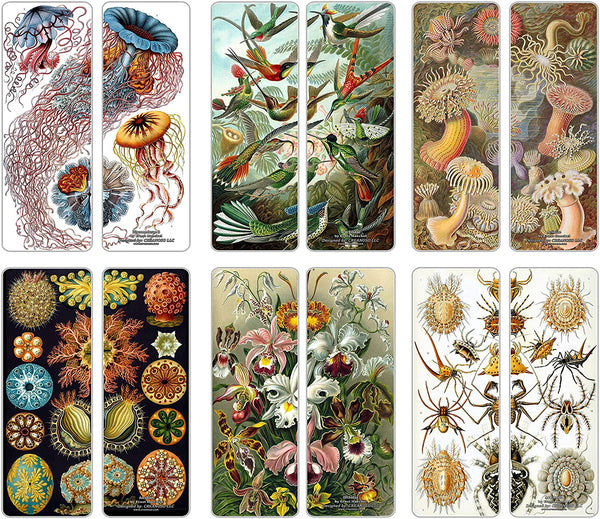 Creanoso Beautiful Bookmarks Cards Series 1 (30-Pack) - Ernst Haeckel Print Drawings - Cool Room Decal Wall Decor - Stocking Stuffers Gifts for Men Women Teens Kids