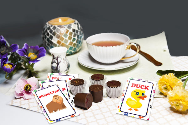 Creanoso Zoo, Sea, Farm and Pet Animals, Kinds of Insects Learning Cards for Boys Girls (2-Deck) â€“ Learning Day Care Classroom Nursery Home Teaching Supplementary Educational Card Pack