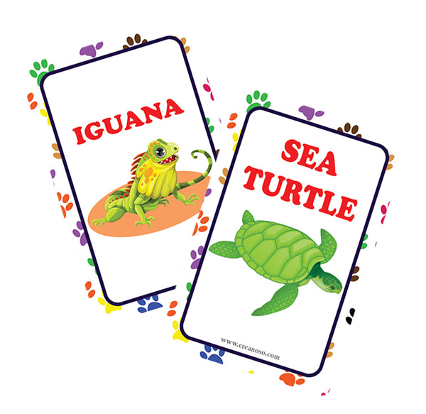 Creanoso Zoo, Sea, Farm and Pet Animals, Kinds of Insects Learning Cards for Boys Girls (2-Deck) â€“ Learning Day Care Classroom Nursery Home Teaching Supplementary Educational Card Pack