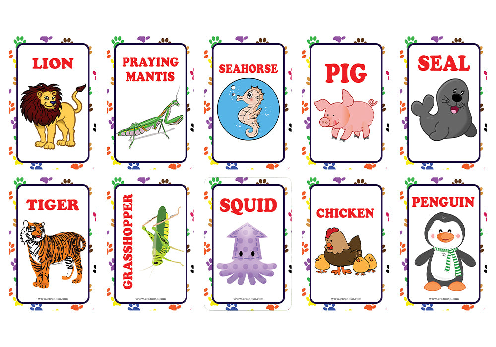 Creanoso Zoo, Sea, Farm and Pet Animals, Kinds of Insects Learning Cards for Boys Girls (2-Deck) â€“ Learning Day Care Classroom Nursery Home Teaching Supplementary Educational Card Pack