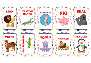 Creanoso Zoo, Sea, Farm and Pet Animals, Kinds of Insects Learning Cards for Boys Girls (2-Deck) â€“ Learning Day Care Classroom Nursery Home Teaching Supplementary Educational Card Pack