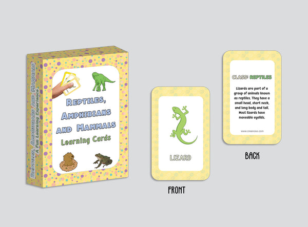 Reptiles, Amphibians and Mammals Learning Cards (1-Deck X 54 Cards)