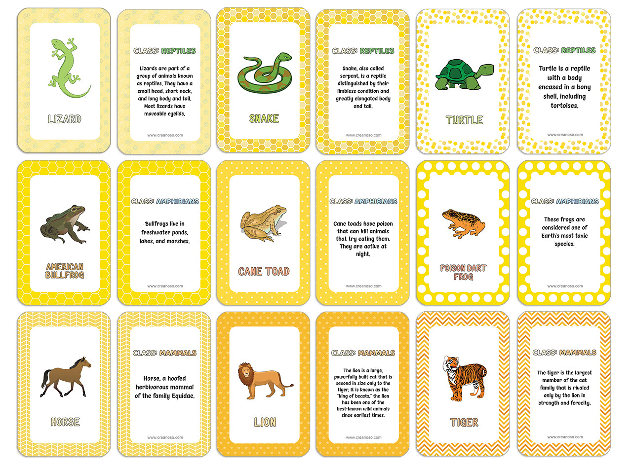 Reptiles, Amphibians and Mammals Learning Cards (1-Deck X 54 Cards)