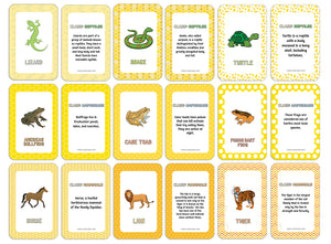 Reptiles, Amphibians and Mammals Learning Cards (2-Deck X 54 Cards)