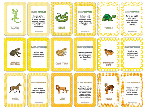 Reptiles, Amphibians and Mammals Learning Cards (2-Deck X 54 Cards)