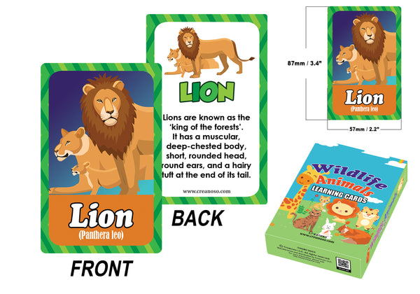 Wildlife Animals Learning Cards (1-Deck)