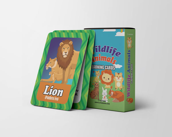 Wildlife Animals Learning Cards (4-Deck)