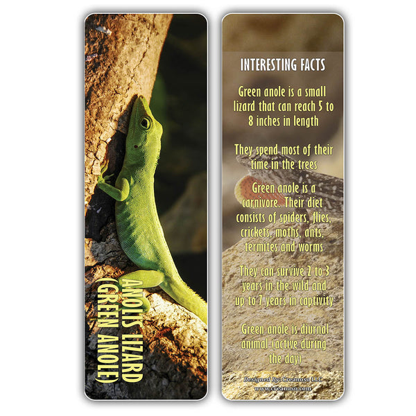 Creanoso Exotic Reptile Bookmarks ÃƒÂ¢Ã¢â€šÂ¬Ã¢â‚¬Å“ Cool Unique Bookmarker Cards for Book Readers and Pet Lovers