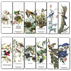 Creanoso Bird Bookmarks  John James Audubon  Unique Art Print Design  Awesome Bookmarks for Bookworms, Men, Women  Six Assorted Bookmarks Designs  Page Book Clipping Wall Decal