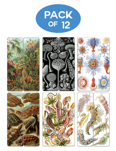 Creanoso Ernst Haeckel Bookmarks Series 2 - Premium Quality Bookmarks
