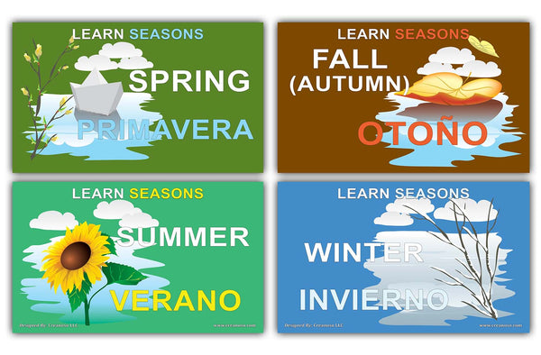 Creanoso Basic Spanish Vocabulary Flashcards Ã¢â‚¬â€œ Informational Language Learning Cards for Kids