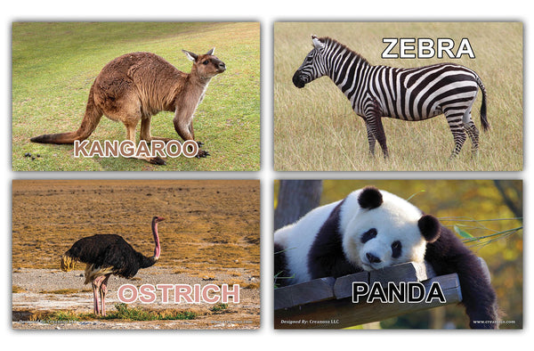 Creanoso Basic Zoo Animals Identification Learning Flashcards Ã¢â‚¬â€œ Mini Educational Cards Set