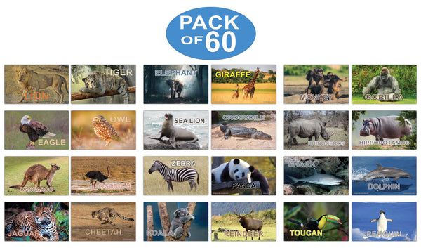 Creanoso Basic Zoo Animals Identification Learning Flashcards Ã¢â‚¬â€œ Mini Educational Cards Set