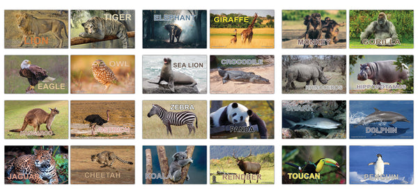 Creanoso Basic Zoo Animals Identification Learning Flashcards Ã¢â‚¬â€œ Mini Educational Cards Set