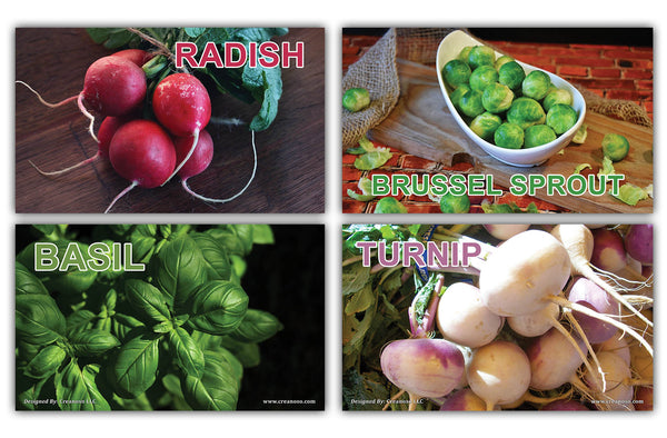 Creanoso Basic Vegetables Identification Learning Flashcards for Children (120-Pack) Ã¢â‚¬â€œ Unique Educational Cards Gift Set Ã¢â‚¬â€œ Great Stocking Stuffers Gift for Toddlers, Boys & Girls Ã¢â‚¬â€œ Teaching Materials