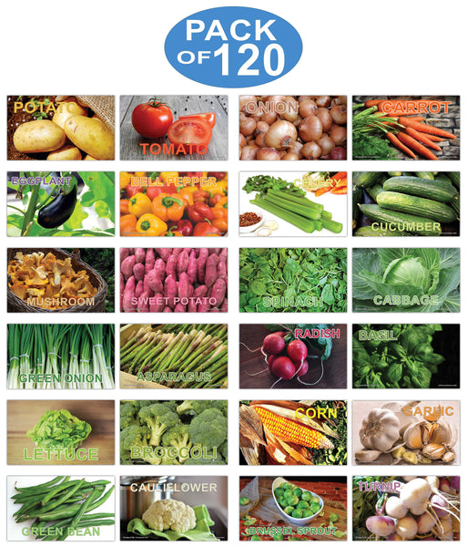Creanoso Basic Vegetables Identification Learning Flashcards for Children (120-Pack) Ã¢â‚¬â€œ Unique Educational Cards Gift Set Ã¢â‚¬â€œ Great Stocking Stuffers Gift for Toddlers, Boys & Girls Ã¢â‚¬â€œ Teaching Materials