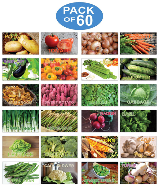 Creanoso Vegetables Basic Learning Identification Flashcards for Children (60-Pack) Ã¢â‚¬â€œ Mini Educational Information Cards Set Ã¢â‚¬â€œ Unique Gift Set for Boys, Girls - Teaching Learning Educational Pack