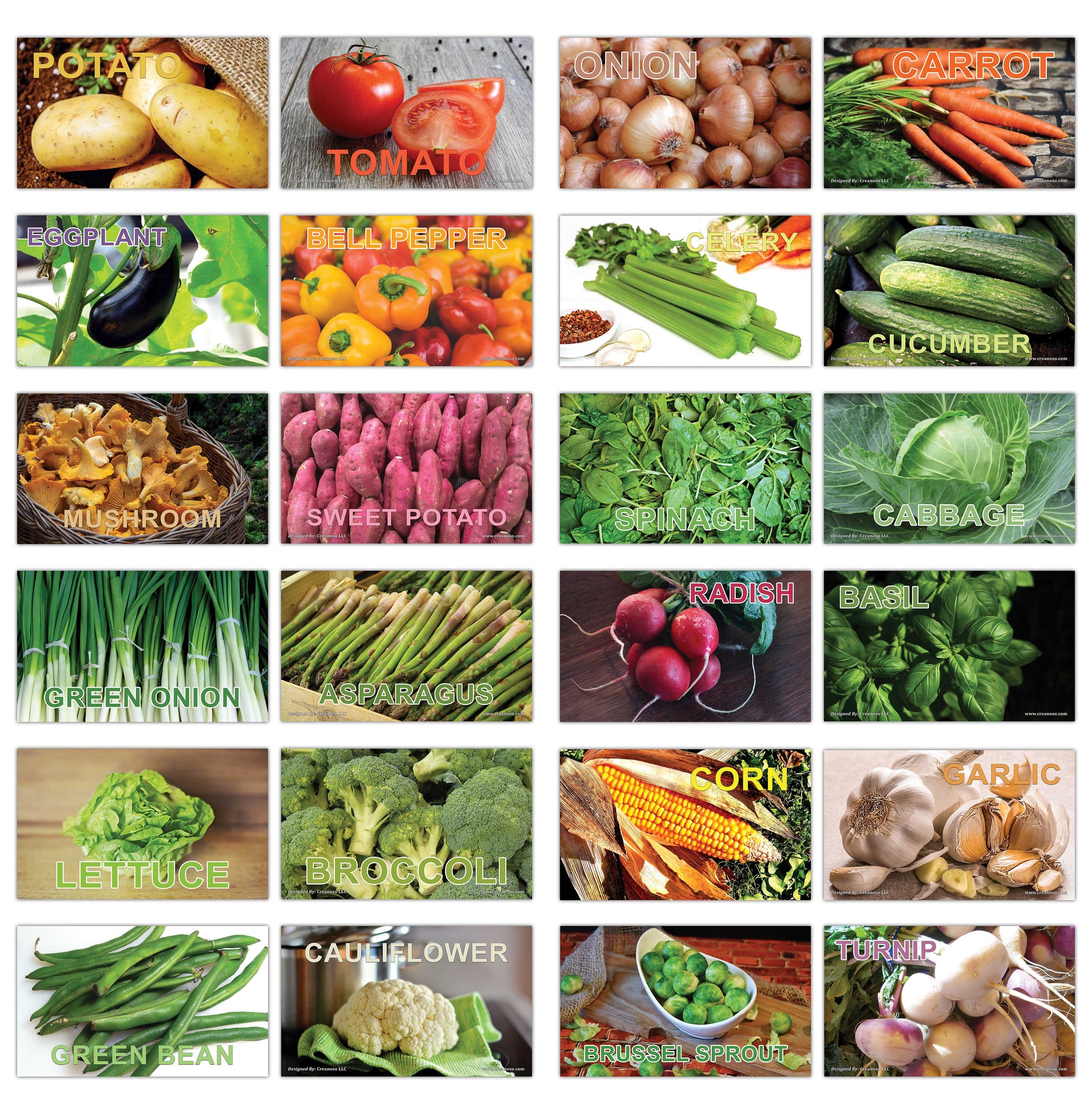 Creanoso Basic Vegetables Identification Learning Flashcards for Children (120-Pack) Ã¢â‚¬â€œ Unique Educational Cards Gift Set Ã¢â‚¬â€œ Great Stocking Stuffers Gift for Toddlers, Boys & Girls Ã¢â‚¬â€œ Teaching Materials