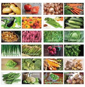 Creanoso Basic Vegetables Identification Learning Flashcards for Children (120-Pack) Ã¢â‚¬â€œ Unique Educational Cards Gift Set Ã¢â‚¬â€œ Great Stocking Stuffers Gift for Toddlers, Boys & Girls Ã¢â‚¬â€œ Teaching Materials