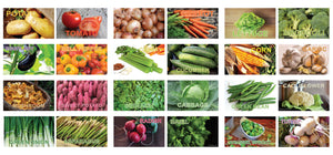 Creanoso Vegetables Food Identification Learning Flashcards Ã¢â‚¬â€œ Mini Educational Cards Set