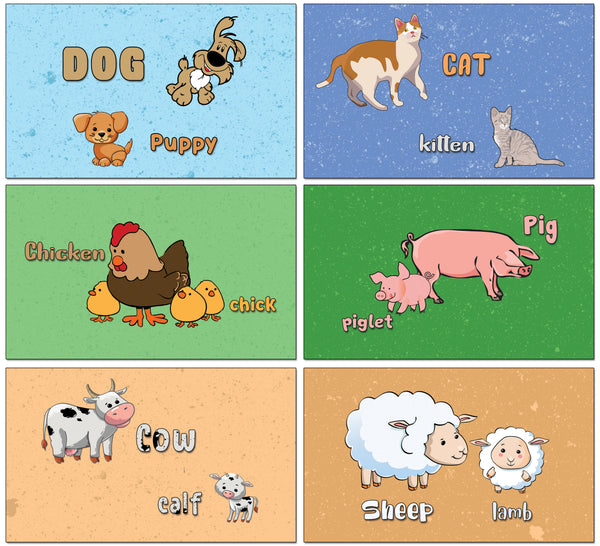 Creanoso Baby Animals and Their Parents Learning Cards - Children Learning Cards - Stocking Stuffer
