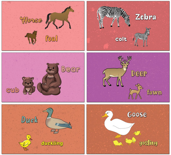 Creanoso Baby Animals and Their Parents Learning Cards - Children Learning Cards - Stocking Stuffer