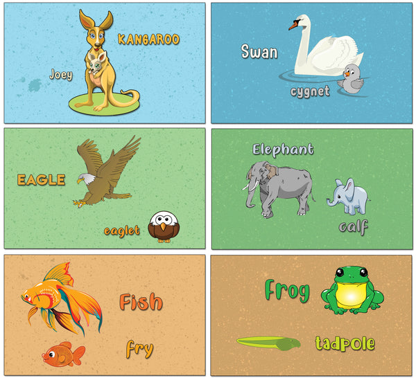 Creanoso Baby Animals and Their Parents Learning Cards - Children Learning Cards - Stocking Stuffer