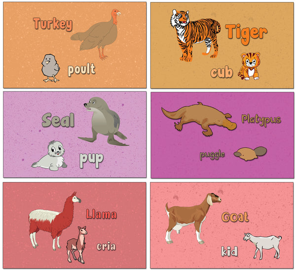 Creanoso Baby Animals and Their Parents Learning Cards - Children Learning Cards - Stocking Stuffer