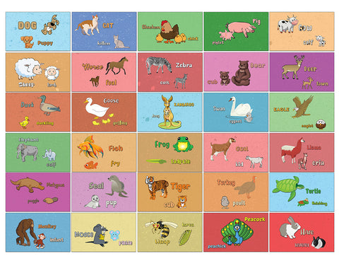 Creanoso Baby Animals and their Parents Learning Cards (30 cards x 2 set) - Perfect Gift for Children, Teens, & Adults, - Teacher Classroom Incentives & Rewards for Students
