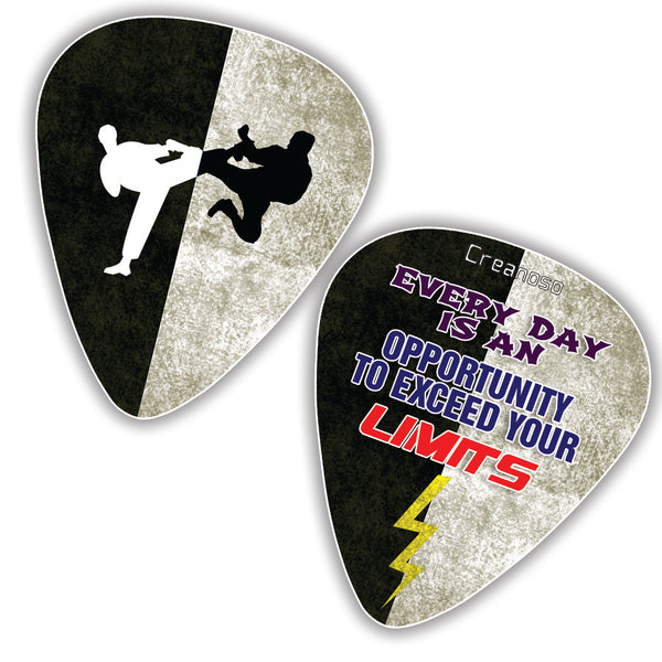 Creanoso Cool Martial Arts Guitar Picks Variety Pack (12-Pack) - Unique Stocking Stuffers Gifts