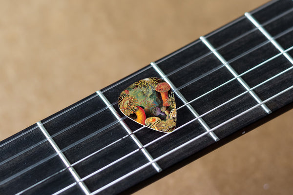 Creanoso Cool Ernst Haeckel Vintage Guitar Picks (12-Pack) - Stocking Stuffers Gifts for Men, Dads, Fathers, Guitarists