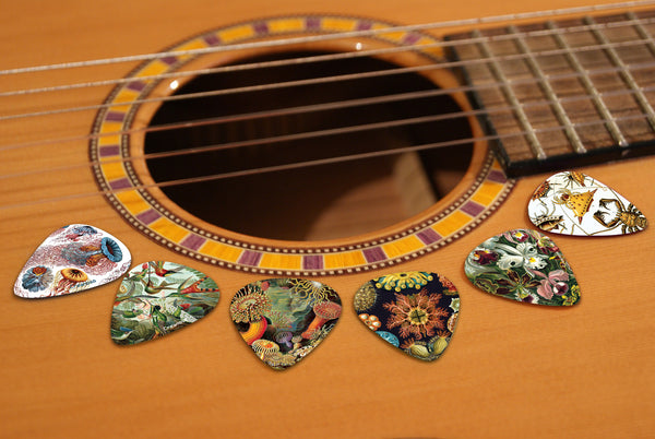 Creanoso Cool Ernst Haeckel Vintage Guitar Picks (12-Pack) - Stocking Stuffers Gifts for Men, Dads, Fathers, Guitarists