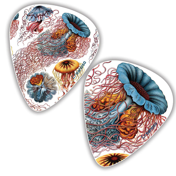 Creanoso Cool Ernst Haeckel Vintage Guitar Picks (12-Pack) - Stocking Stuffers Gifts for Men, Dads, Fathers, Guitarists