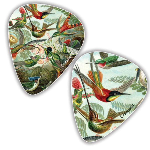 Creanoso Cool Ernst Haeckel Vintage Guitar Picks (12-Pack) - Stocking Stuffers Gifts for Men, Dads, Fathers, Guitarists