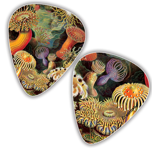 Creanoso Cool Ernst Haeckel Vintage Guitar Picks (12-Pack) - Stocking Stuffers Gifts for Men, Dads, Fathers, Guitarists