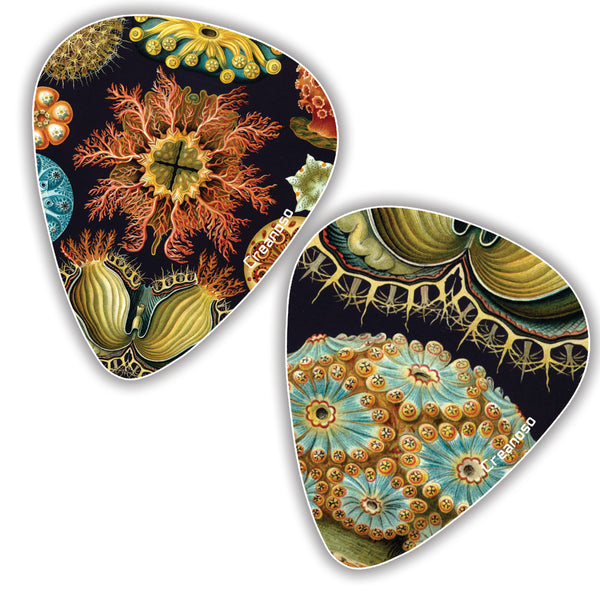 Creanoso Cool Ernst Haeckel Vintage Guitar Picks (12-Pack) - Stocking Stuffers Gifts for Men, Dads, Fathers, Guitarists