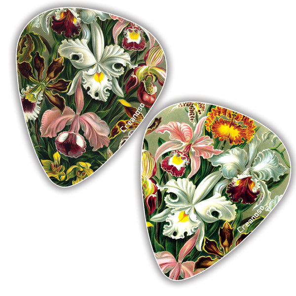 Creanoso Cool Ernst Haeckel Vintage Guitar Picks (12-Pack) - Stocking Stuffers Gifts for Men, Dads, Fathers, Guitarists