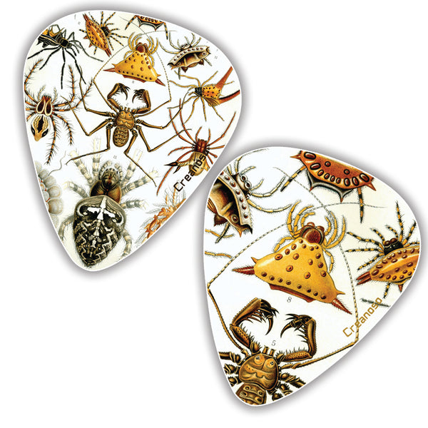 Creanoso Cool Ernst Haeckel Vintage Guitar Picks (12-Pack) - Stocking Stuffers Gifts for Men, Dads, Fathers, Guitarists