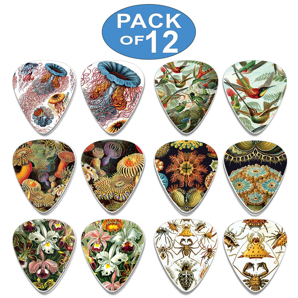 Creanoso Cool Ernst Haeckel Vintage Guitar Picks (12-Pack) - Stocking Stuffers Gifts for Men, Dads, Fathers, Guitarists