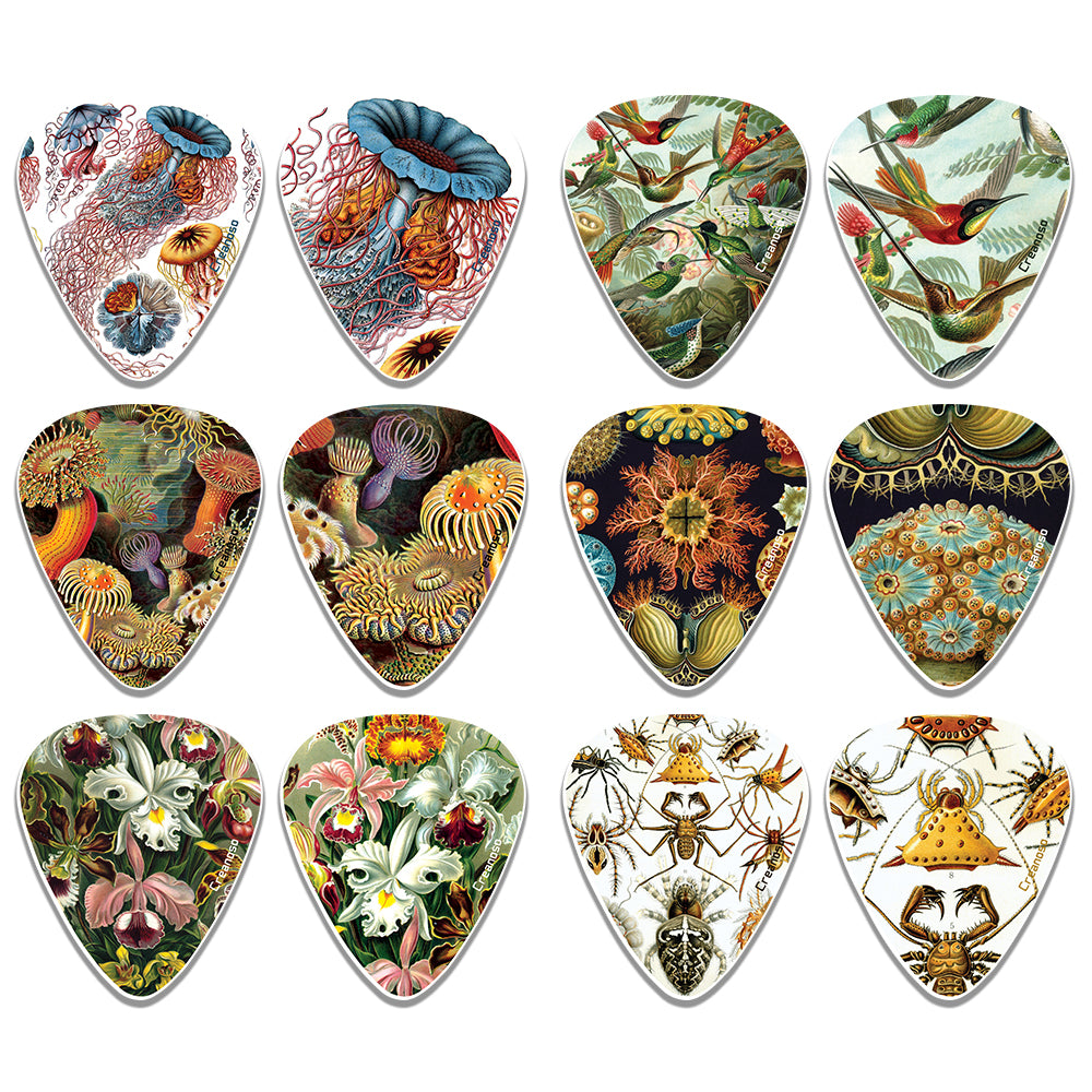 Creanoso Cool Ernst Haeckel Vintage Guitar Picks (12-Pack) - Stocking Stuffers Gifts for Men, Dads, Fathers, Guitarists