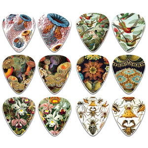Creanoso Cool Ernst Haeckel Vintage Guitar Picks (12-Pack) - Stocking Stuffers Gifts for Men, Dads, Fathers, Guitarists