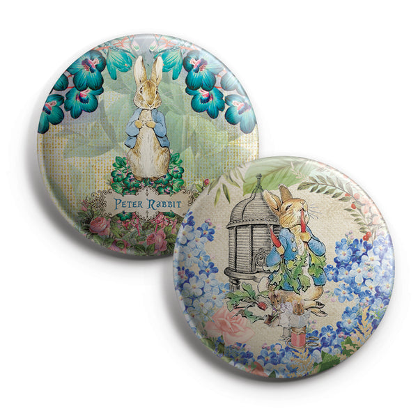 Peter Rabbit Pinback Buttons (10-Pack) - Large 2.25" Pins Badge for Men Women