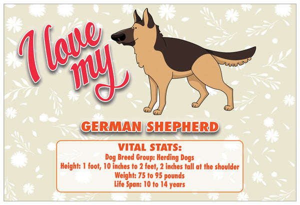 Creanoso Six Greeting Card Designs I Love My Dog Postcards (60-Pack) Ã¢â‚¬â€œ Assorted Quality Card Stock Set Ã¢â‚¬â€œ Premium Stocking Stuffers Gift Ideas Ã¢â‚¬â€œ Six Dogs with Vital Stats