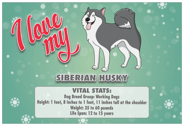 Creanoso Six Greeting Card Designs I Love My Dog Postcards (60-Pack) Ã¢â‚¬â€œ Assorted Quality Card Stock Set Ã¢â‚¬â€œ Premium Stocking Stuffers Gift Ideas Ã¢â‚¬â€œ Six Dogs with Vital Stats